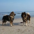 usedom2015 (11)
